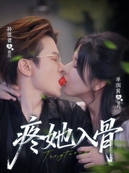 疼她入骨（80集）辛润茜＆孙祖君 高清完整版